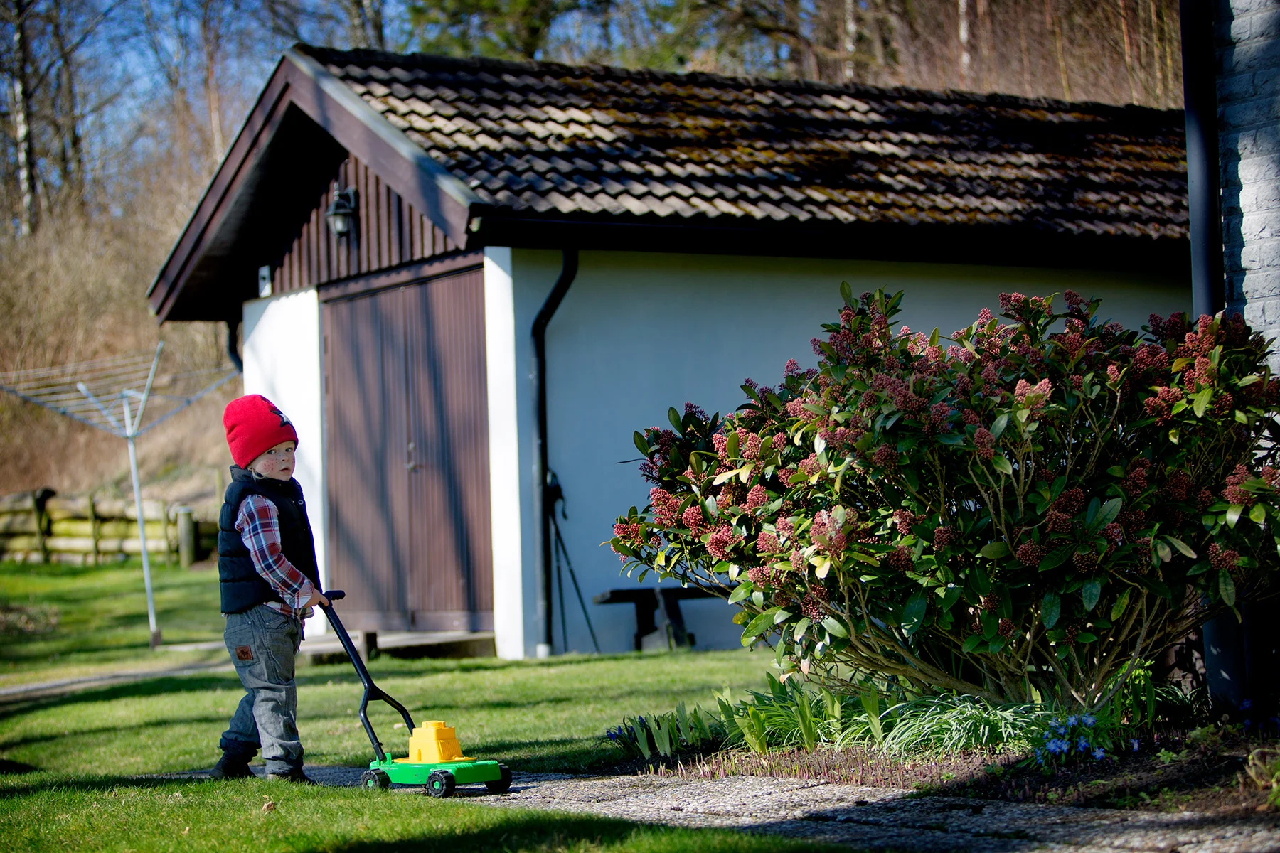blogg-170411hosfarmor7.jpg