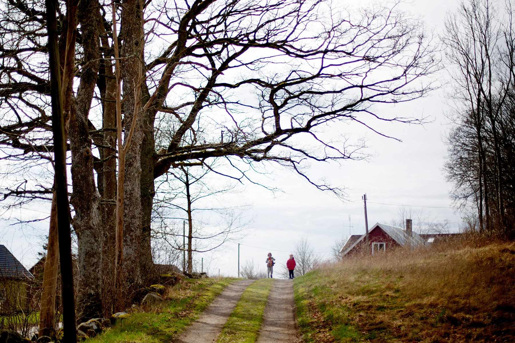 blogg-170416ambjorntorp10.jpg