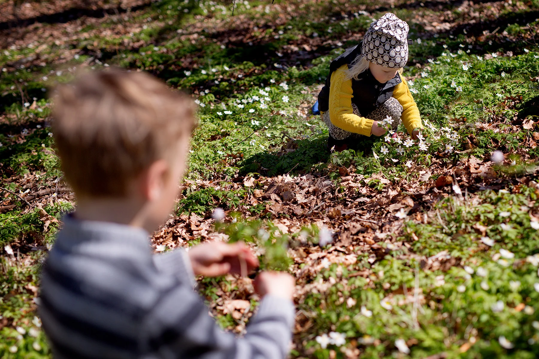 blogg-170501hanning4.jpg