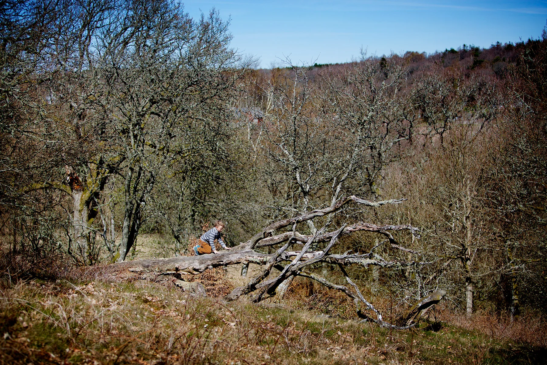blogg-170501hanning7.jpg