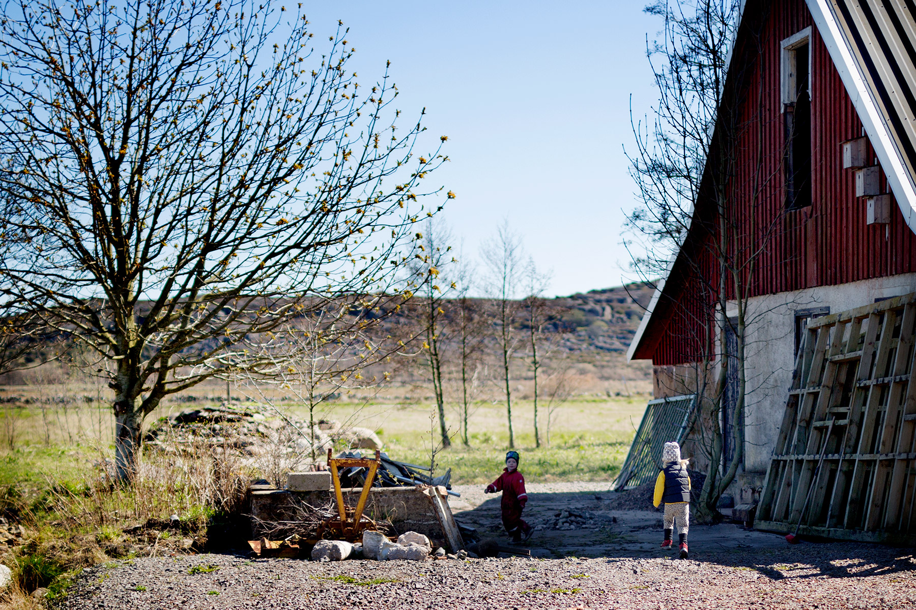 blogg-170501majatangen12.jpg