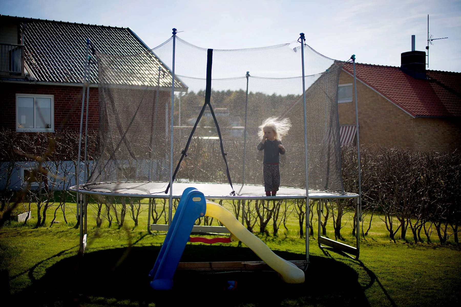blogg-170502nyckelpigestuds8.jpg