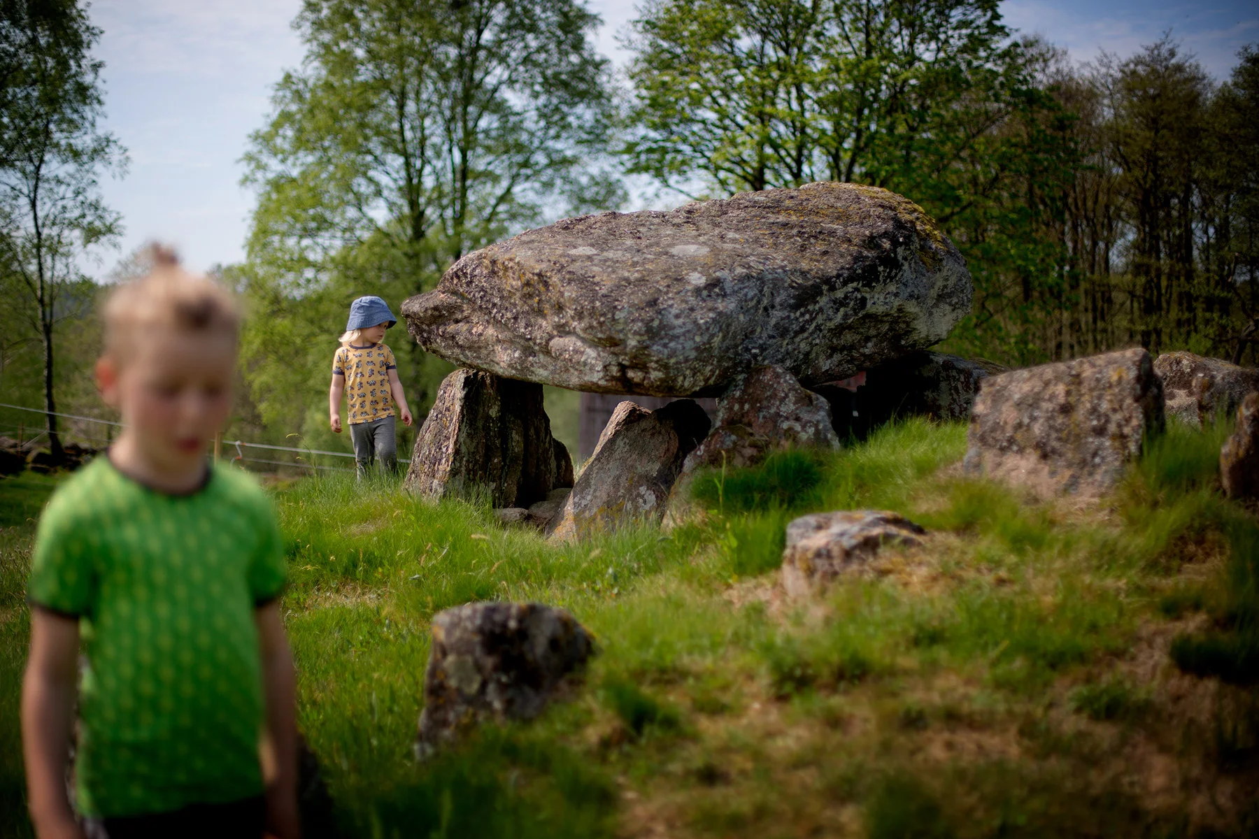 blogg-170519kvarnome9.jpg