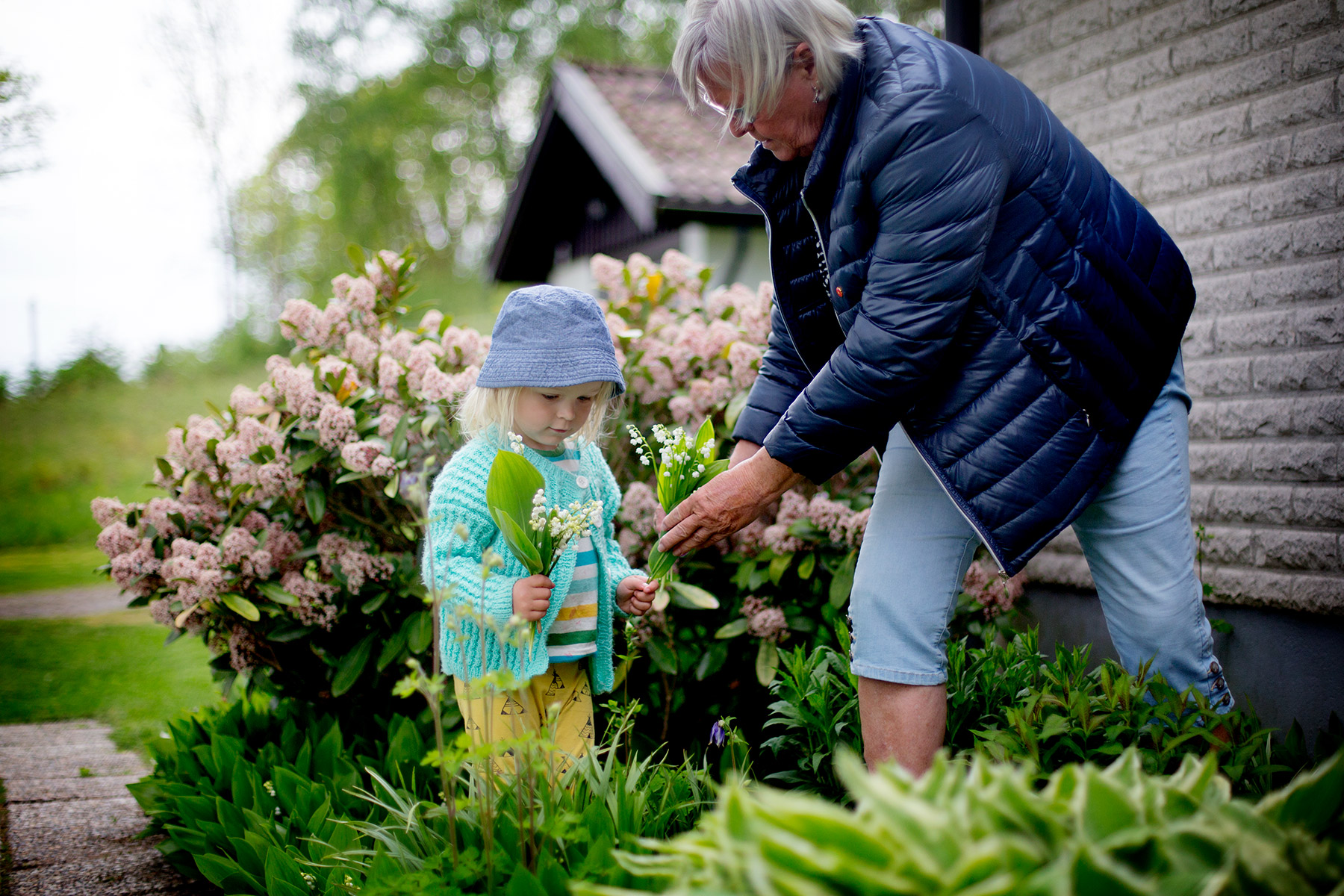 blogg-170520hosfarmor9.jpg