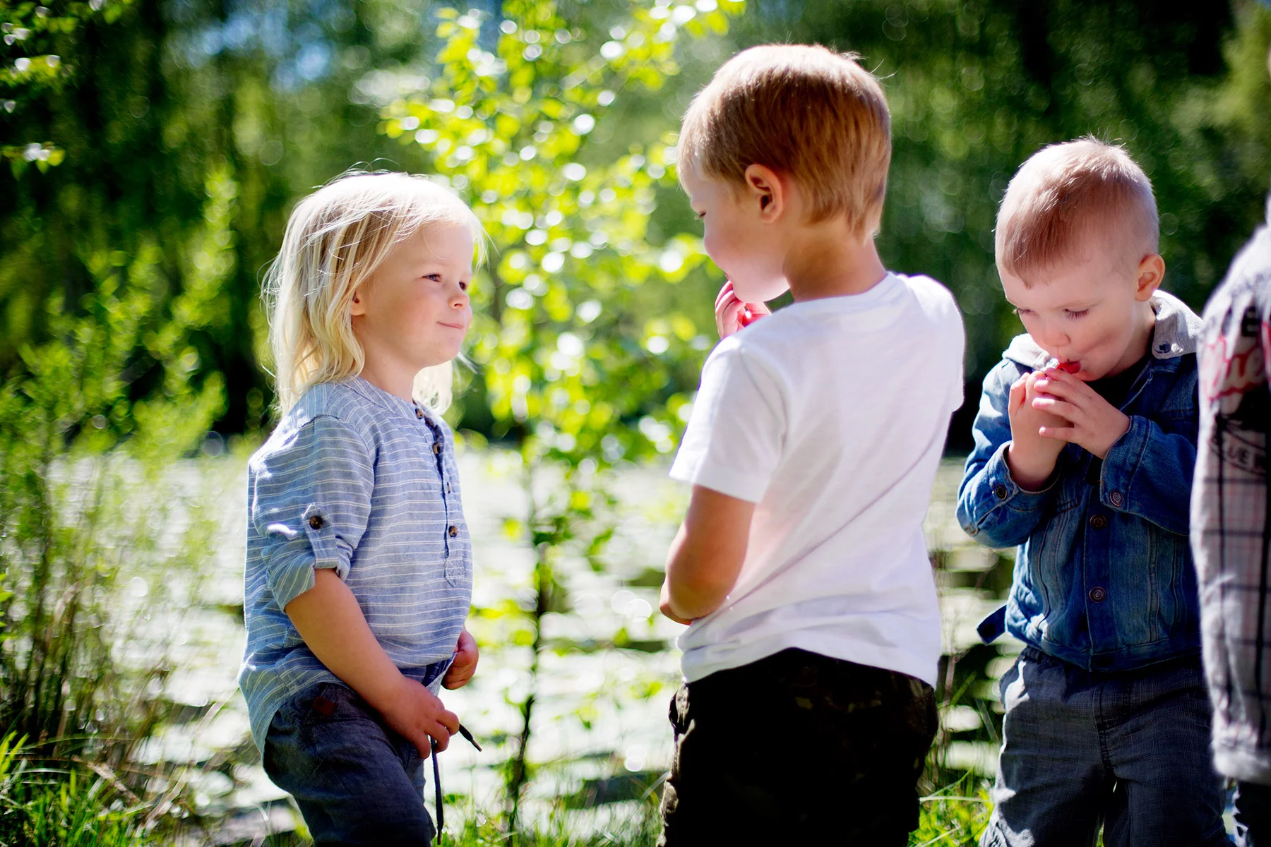 blogg-170521elof4ar24.jpg