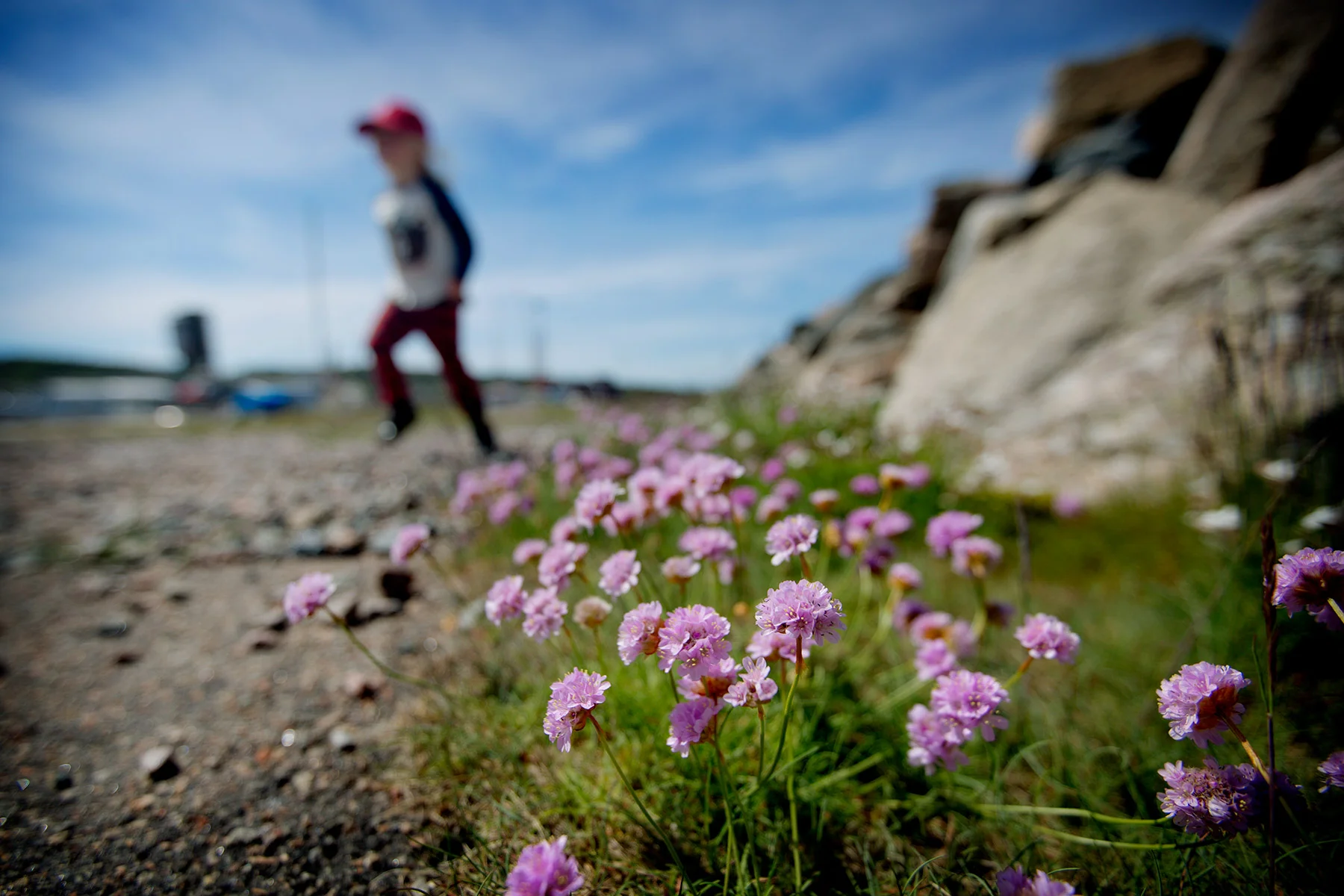 blogg-170525fodelsedagsmorgon7.jpg