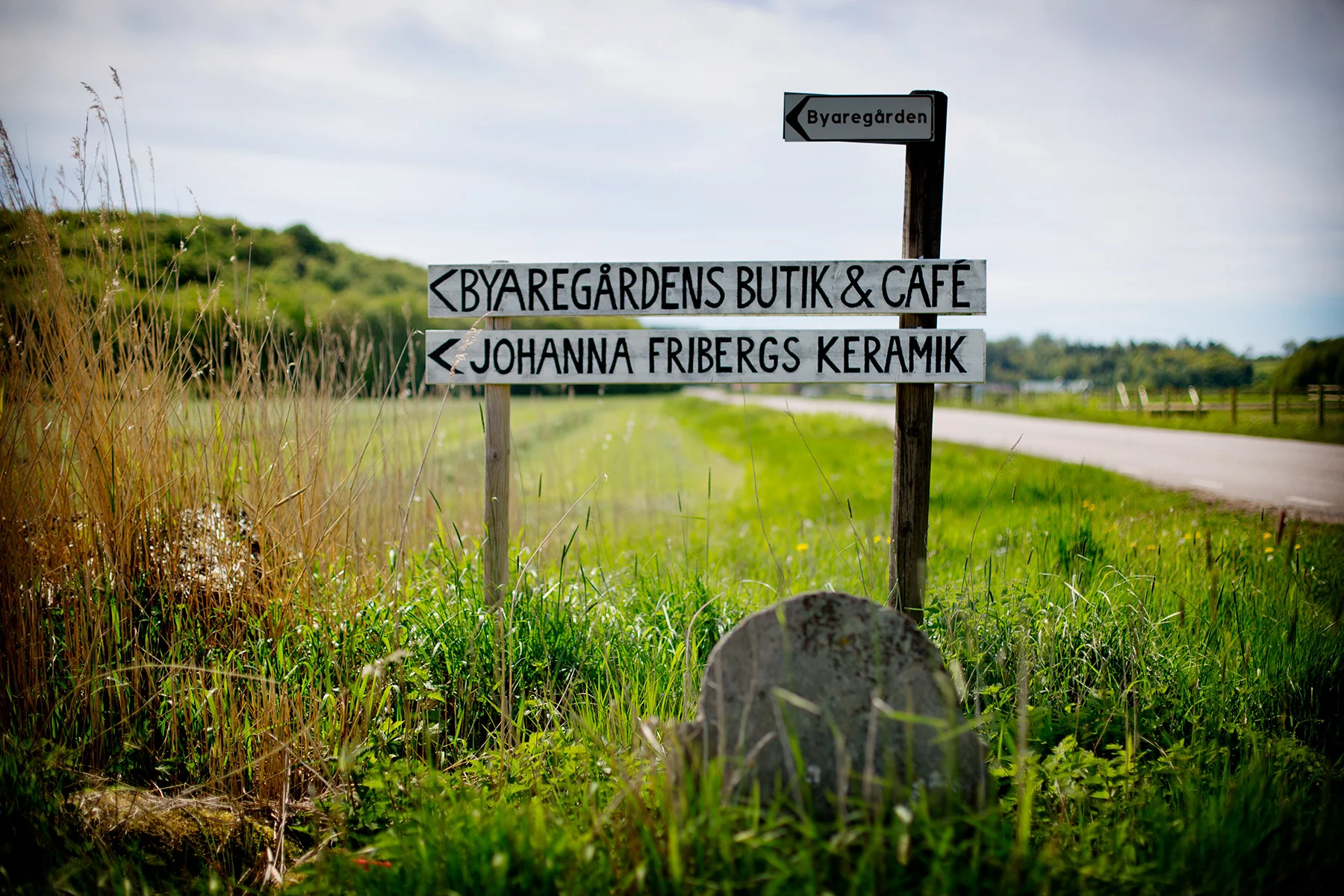 blogg-170525byaregarden1l.jpg