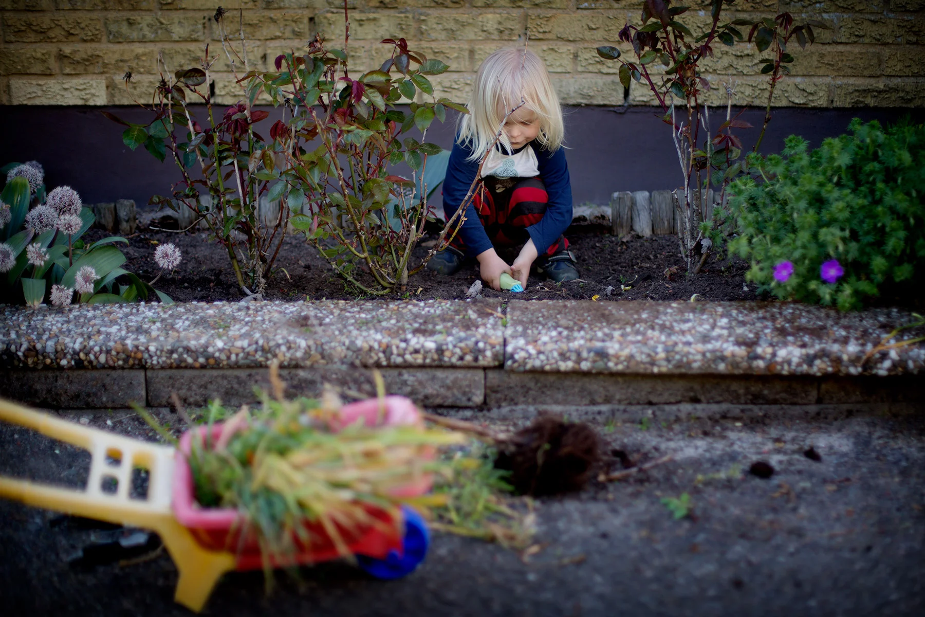 blogg-170525tradgarden9.jpg