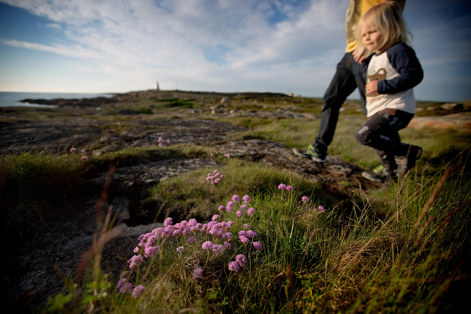 blogg-170525kvallenhavet7.jpg