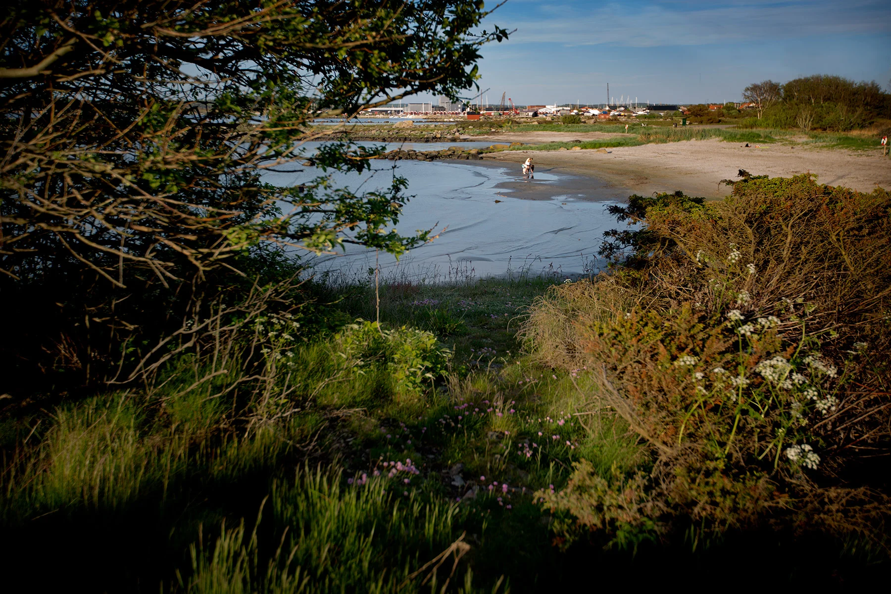blogg-170525kvallenhavet11.jpg