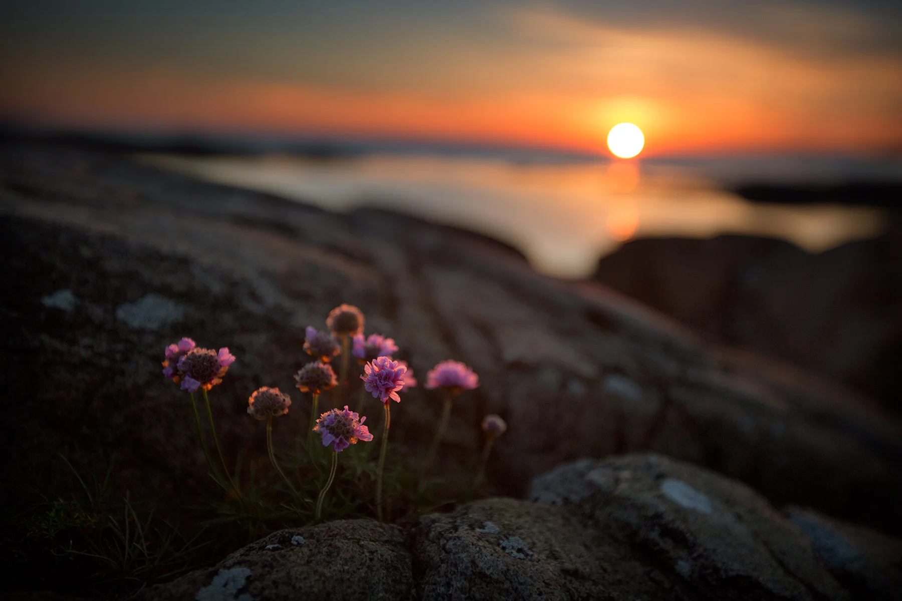 blogg-170526sonnero18.jpg