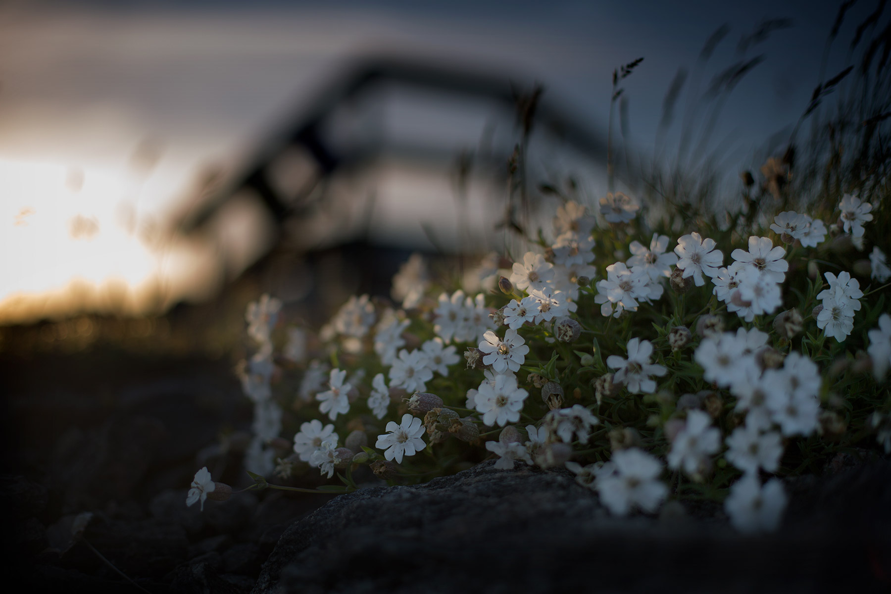 blogg-170601stickkvallbaten6.jpg