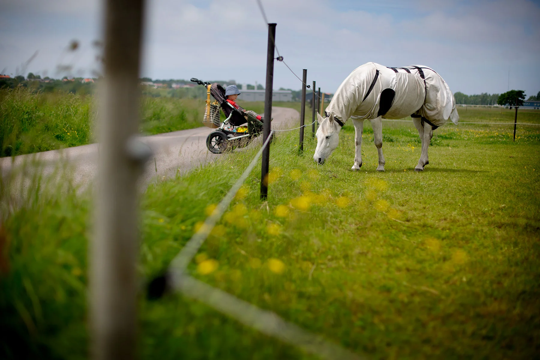 blogg-170615bertilprom5.jpg