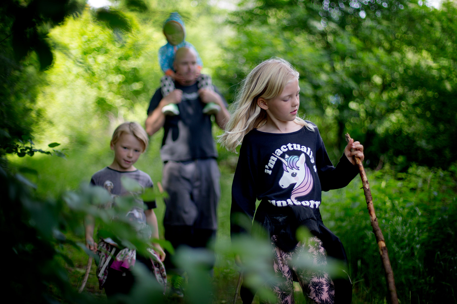 blogg-170618skogen6.jpg