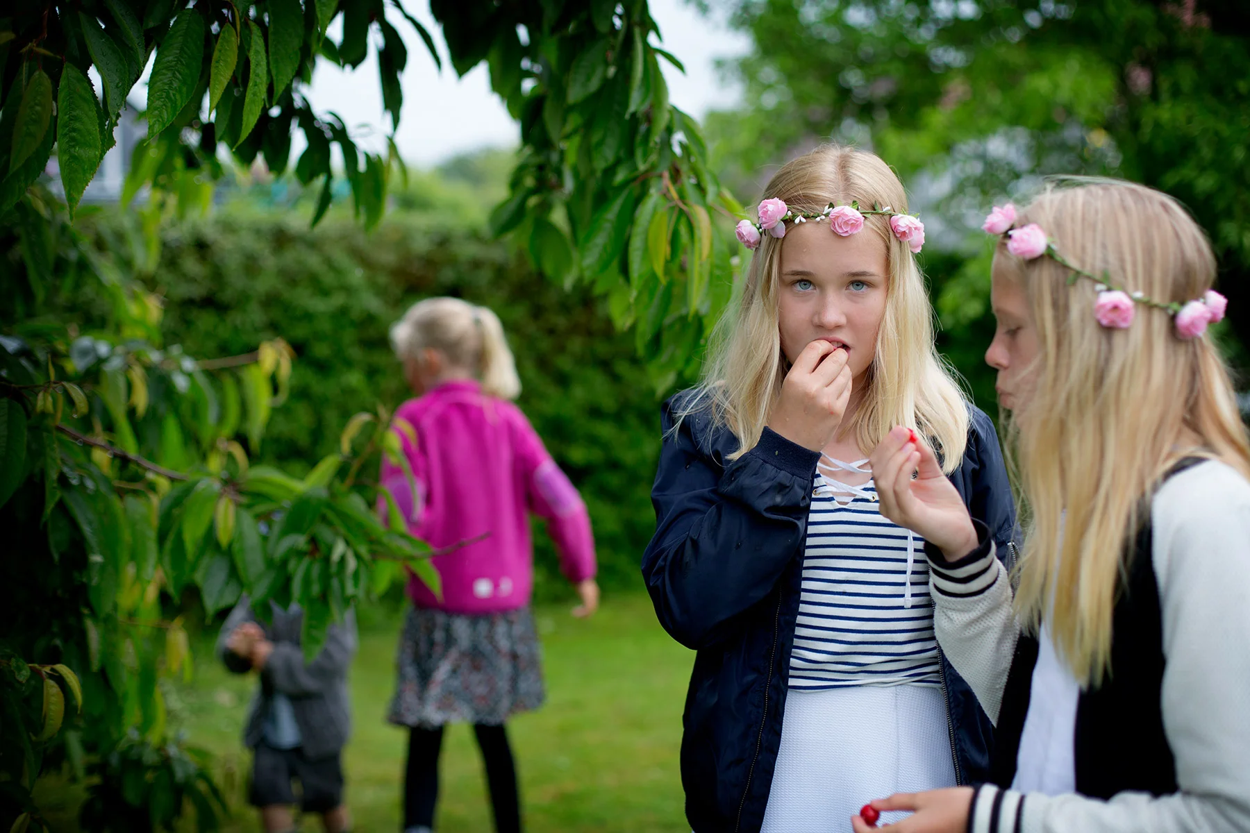 blogg-170623midsommartross14.jpg