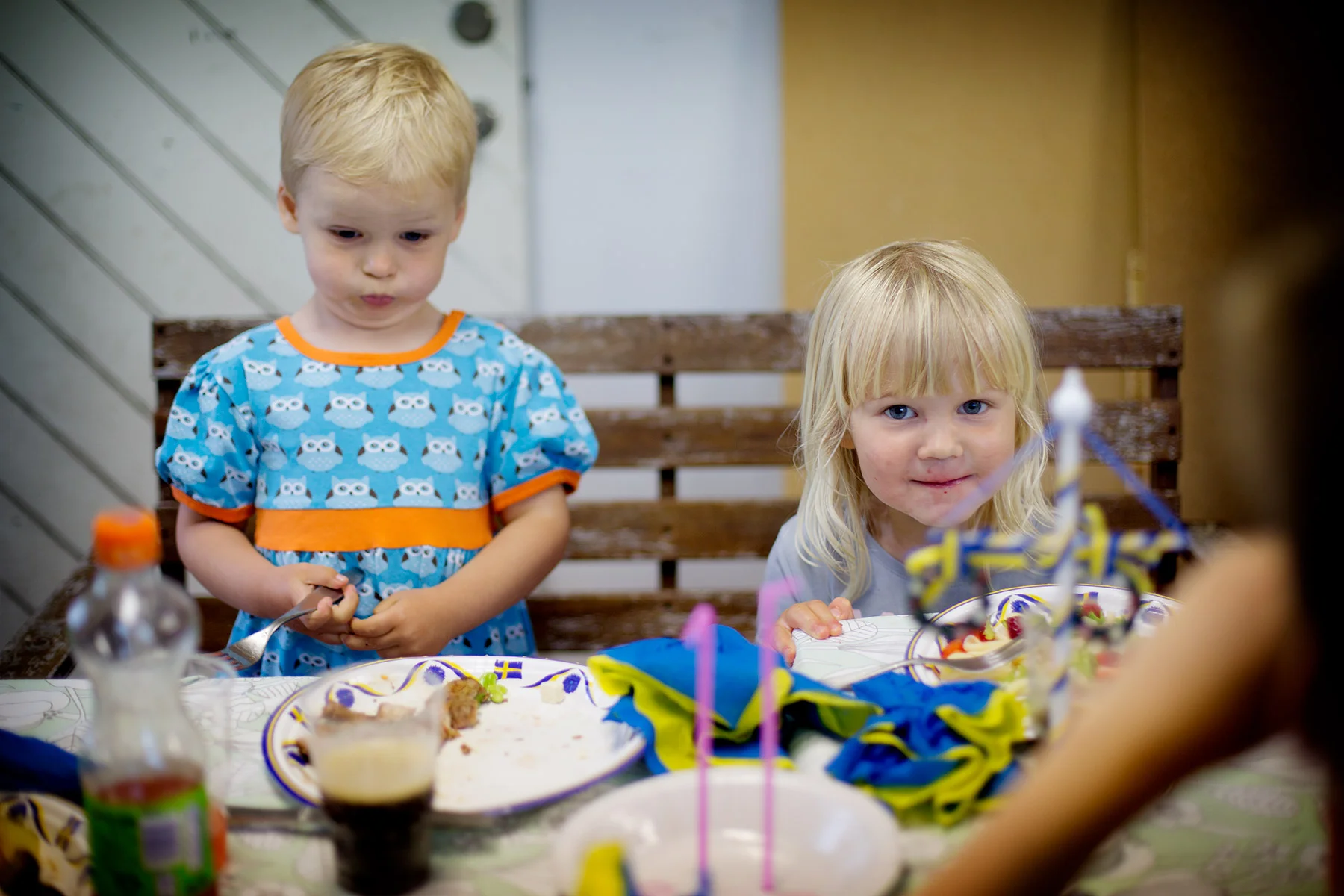 blogg-170623midsommartross25.jpg