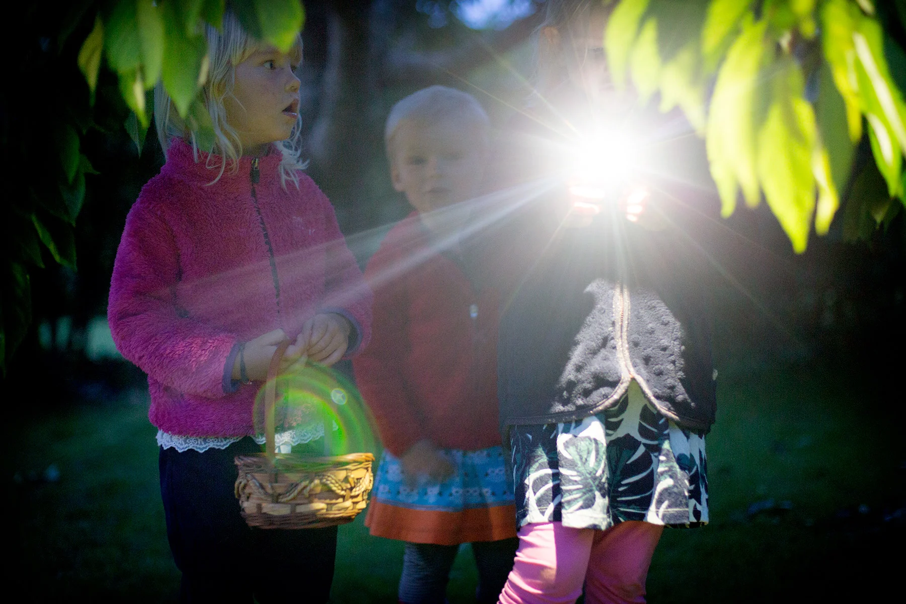 blogg-170623midsommartross56.jpg