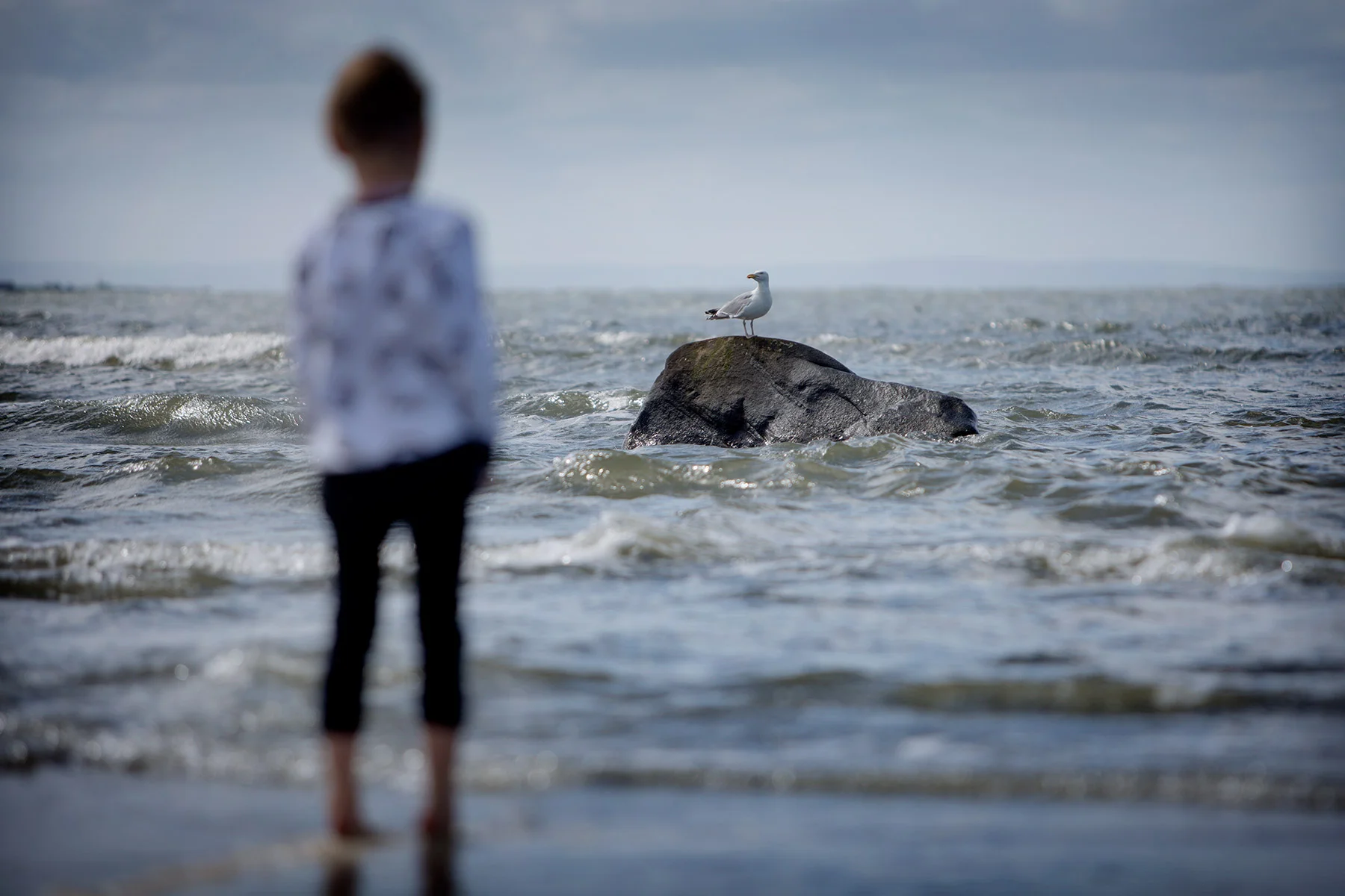 blogg-170627haverdalsstrand6.jpg
