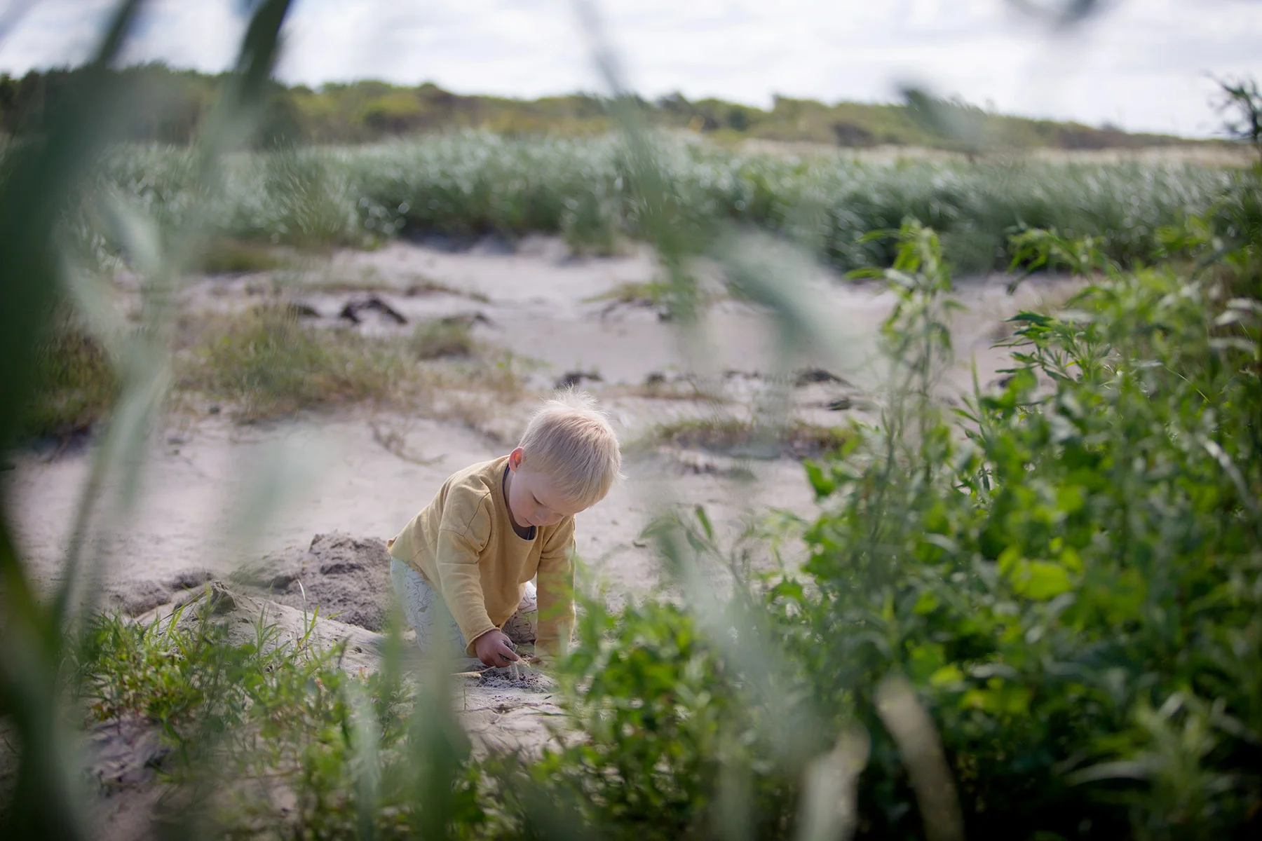 blogg-170627haverdalsstrand17.jpg