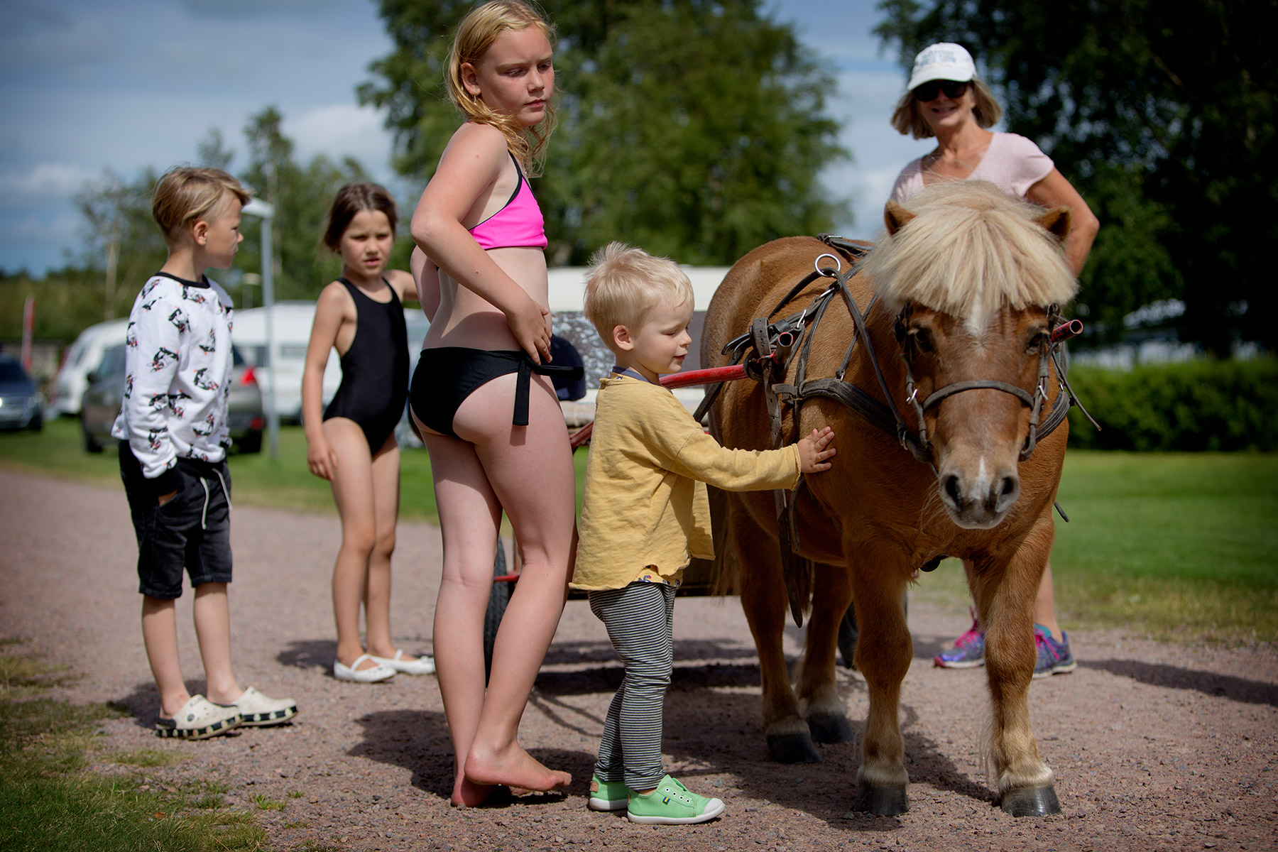 blogg-170627havcampdag2-4.jpg