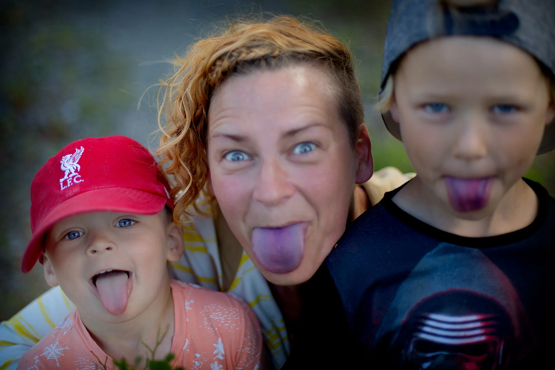 blogg-170703blabarsskogen4.jpg