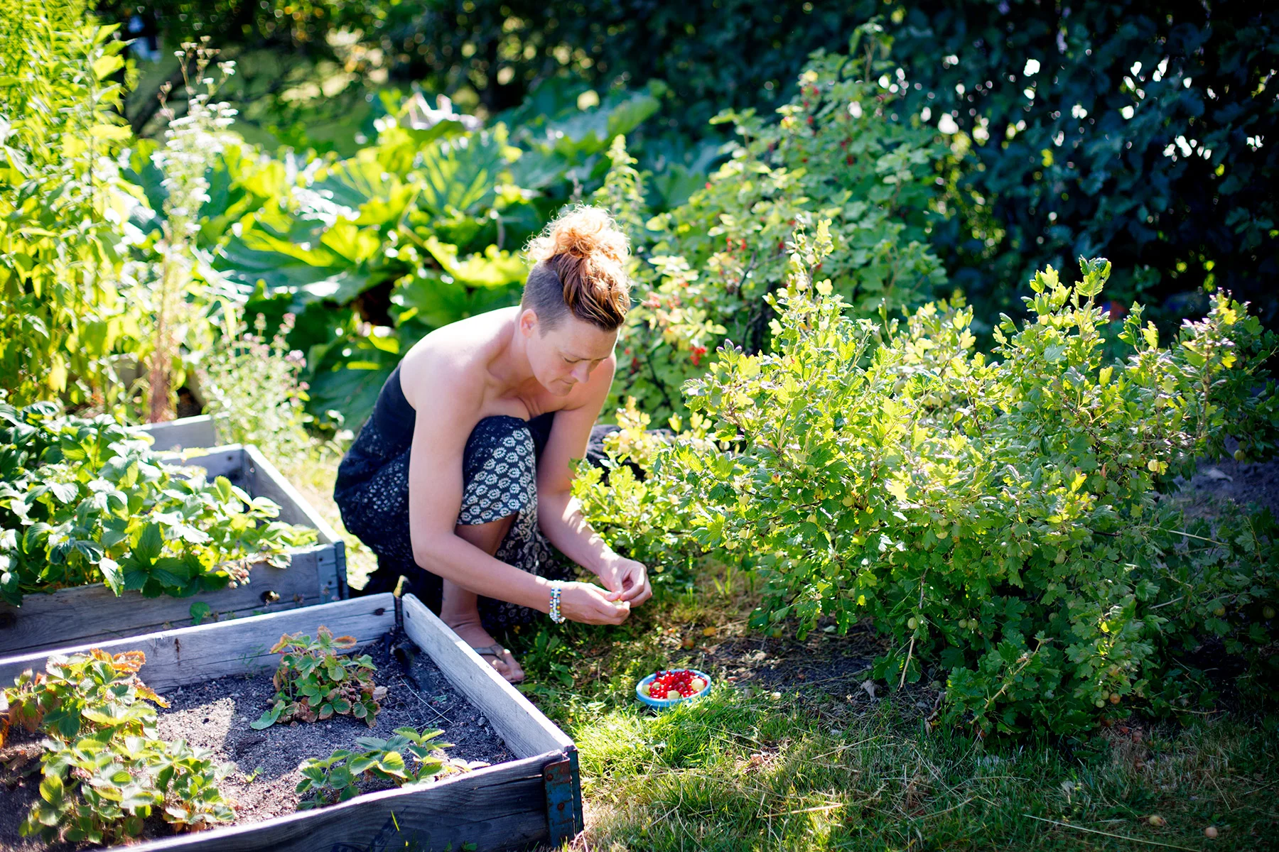 blogg-170710tradgarden1.jpg