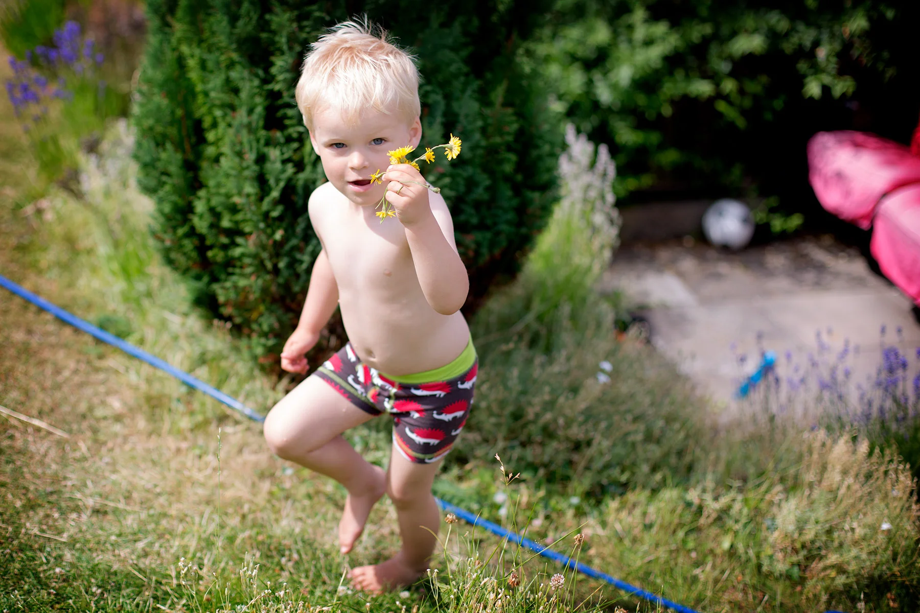 blogg-170710tradgarden4.jpg