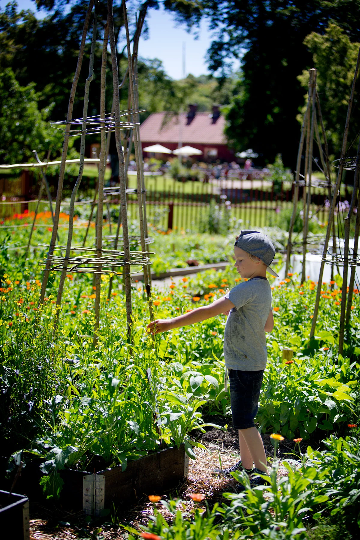 blogg-170713sundsby6.jpg