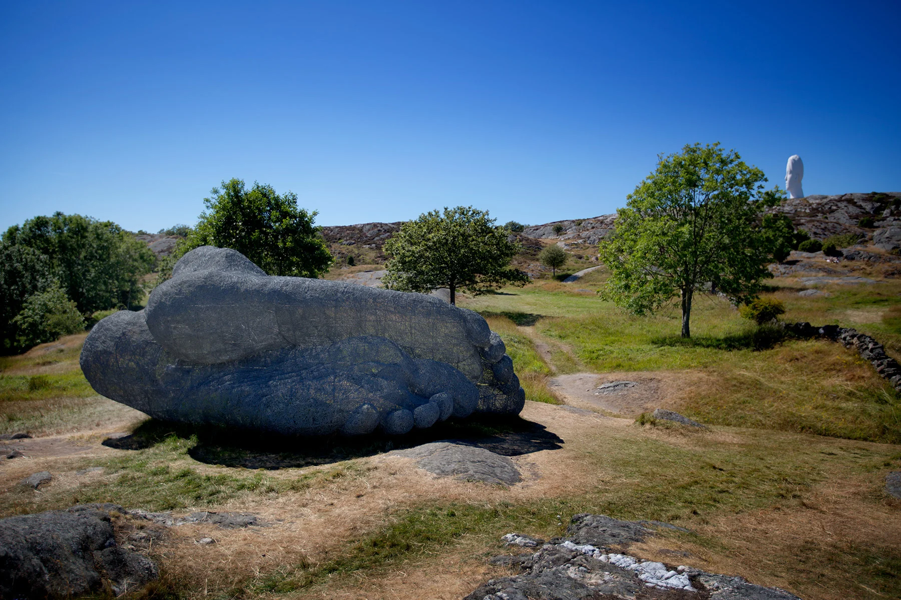 blogg-170713pilane5.jpg