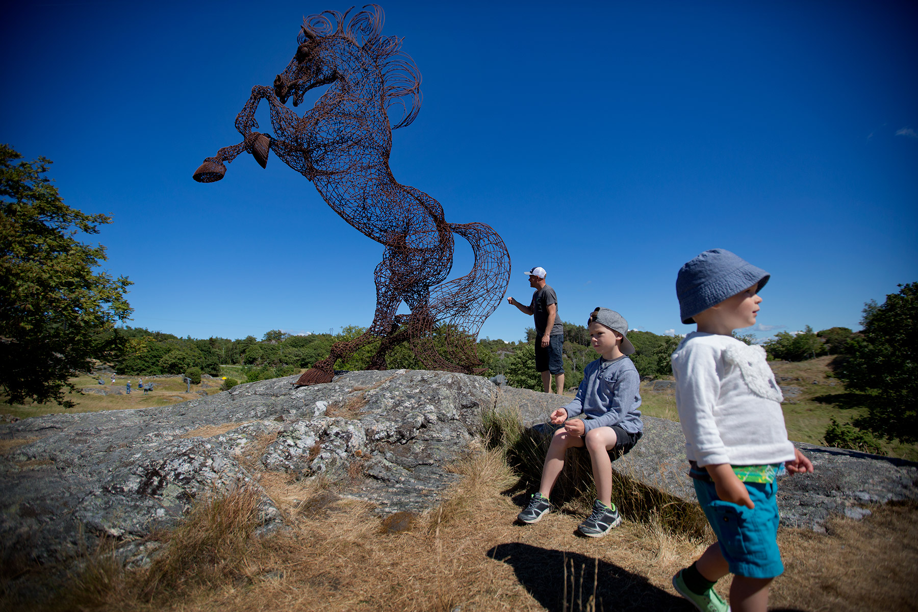 blogg-170713pilane7.jpg