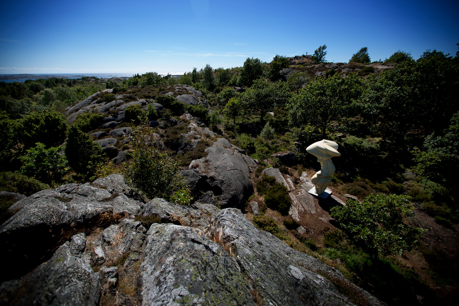 blogg-170713pilane12.jpg