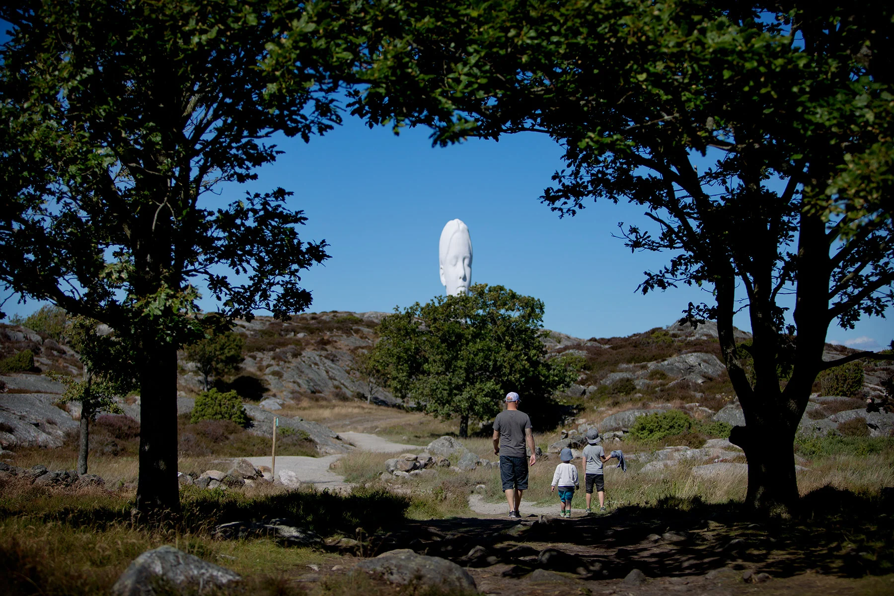blogg-170713pilane16.jpg