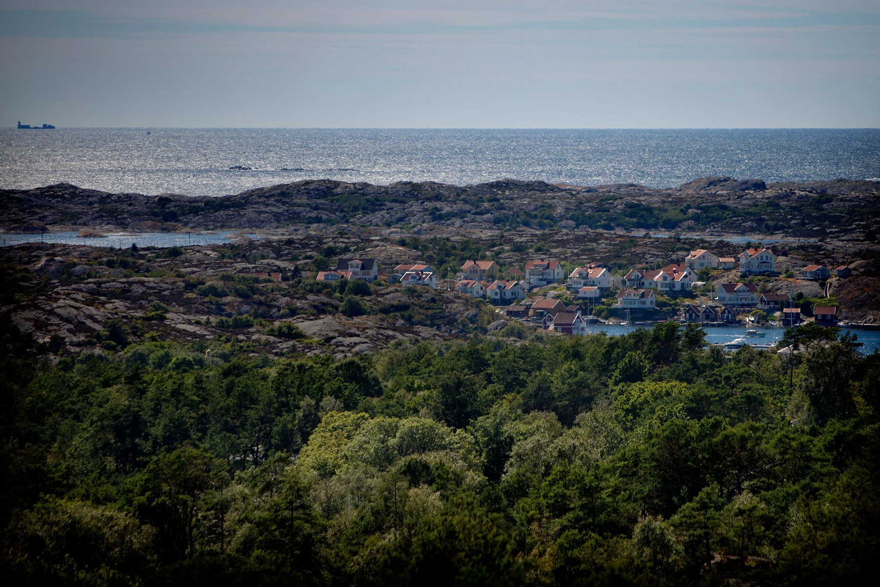blogg-170713pilane14.jpg