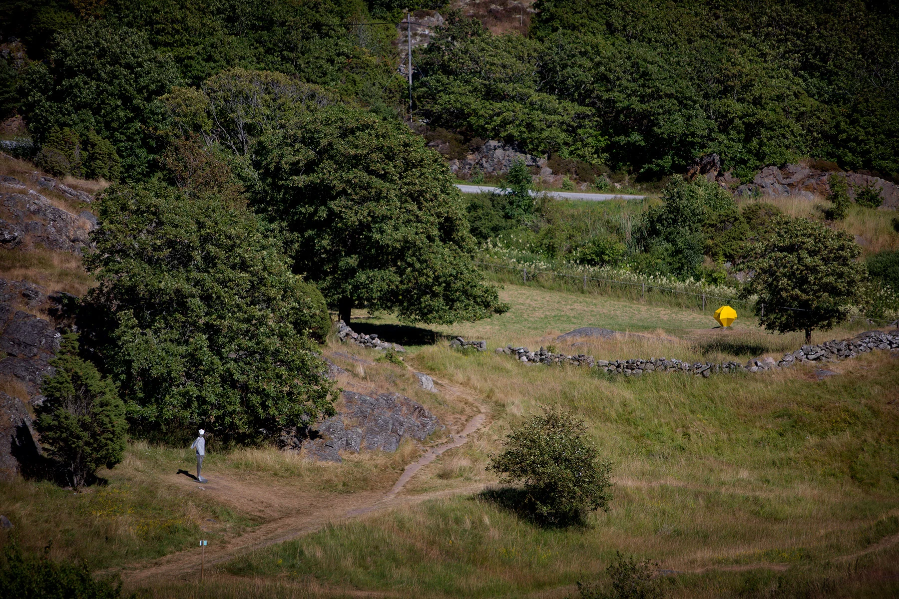 blogg-170713pilane18.jpg