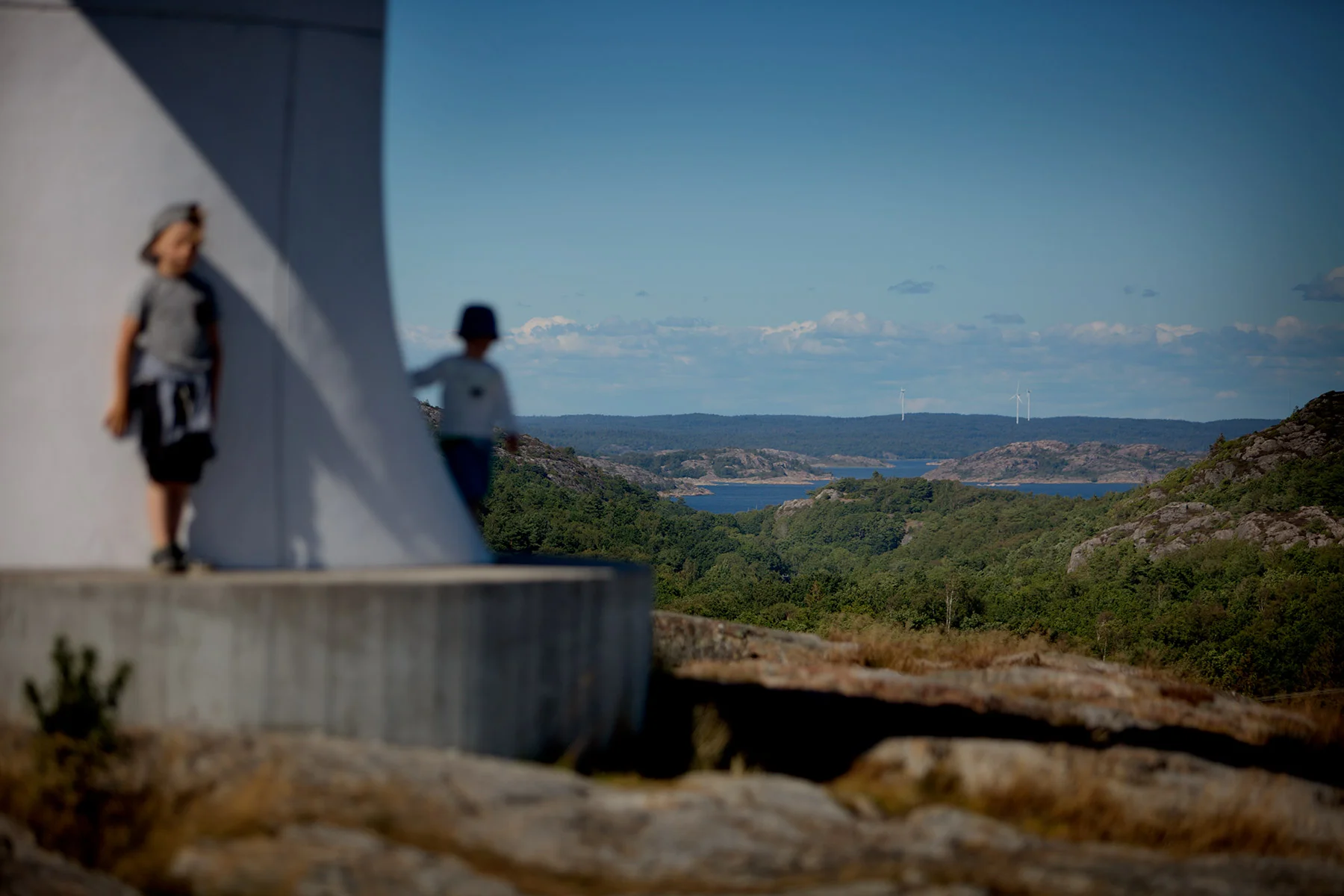 blogg-170713pilane20.jpg