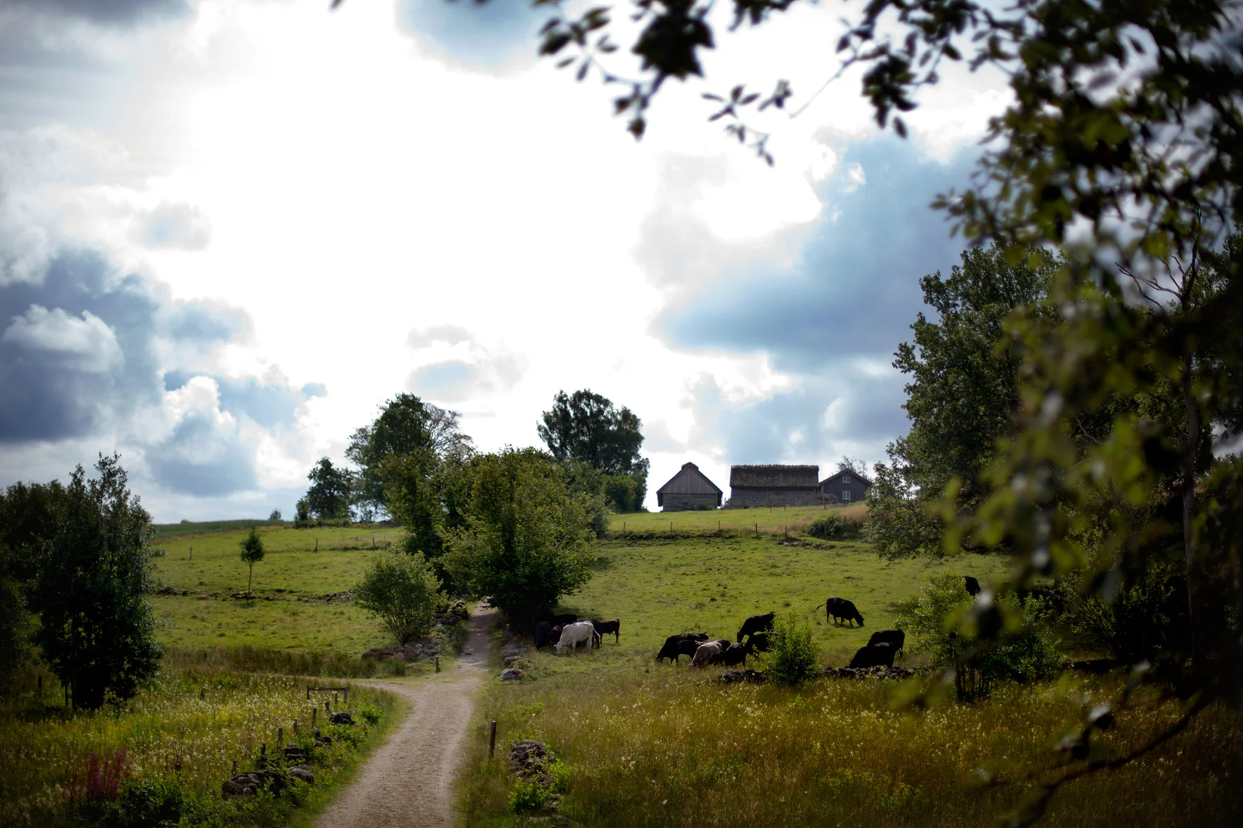 blogg-170726askhult12.jpg