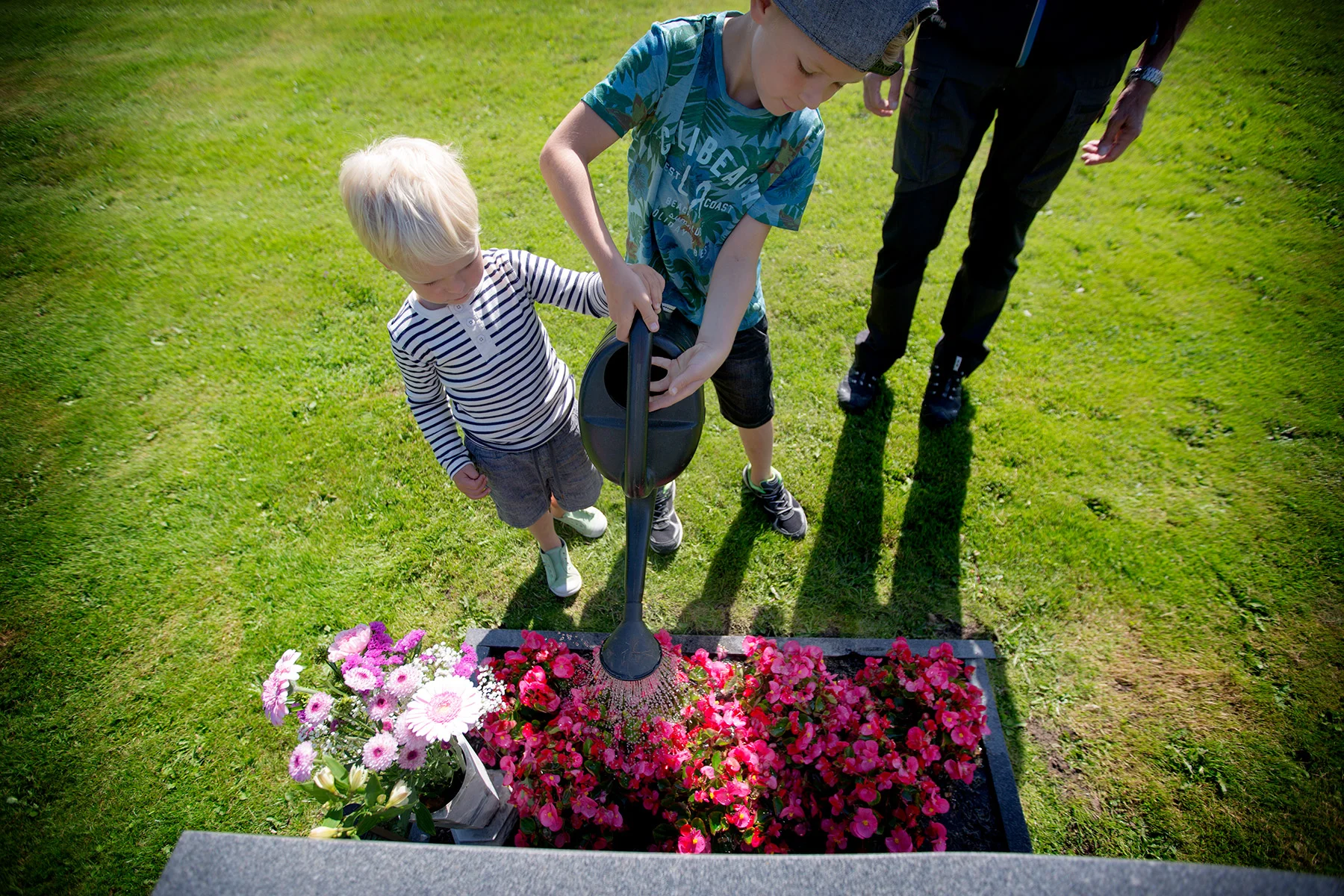 blogg-170711koingekyrkogard3.jpg