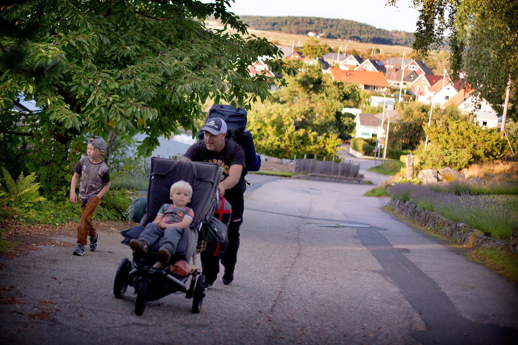 blogg-170816taltaiskogen1.jpg