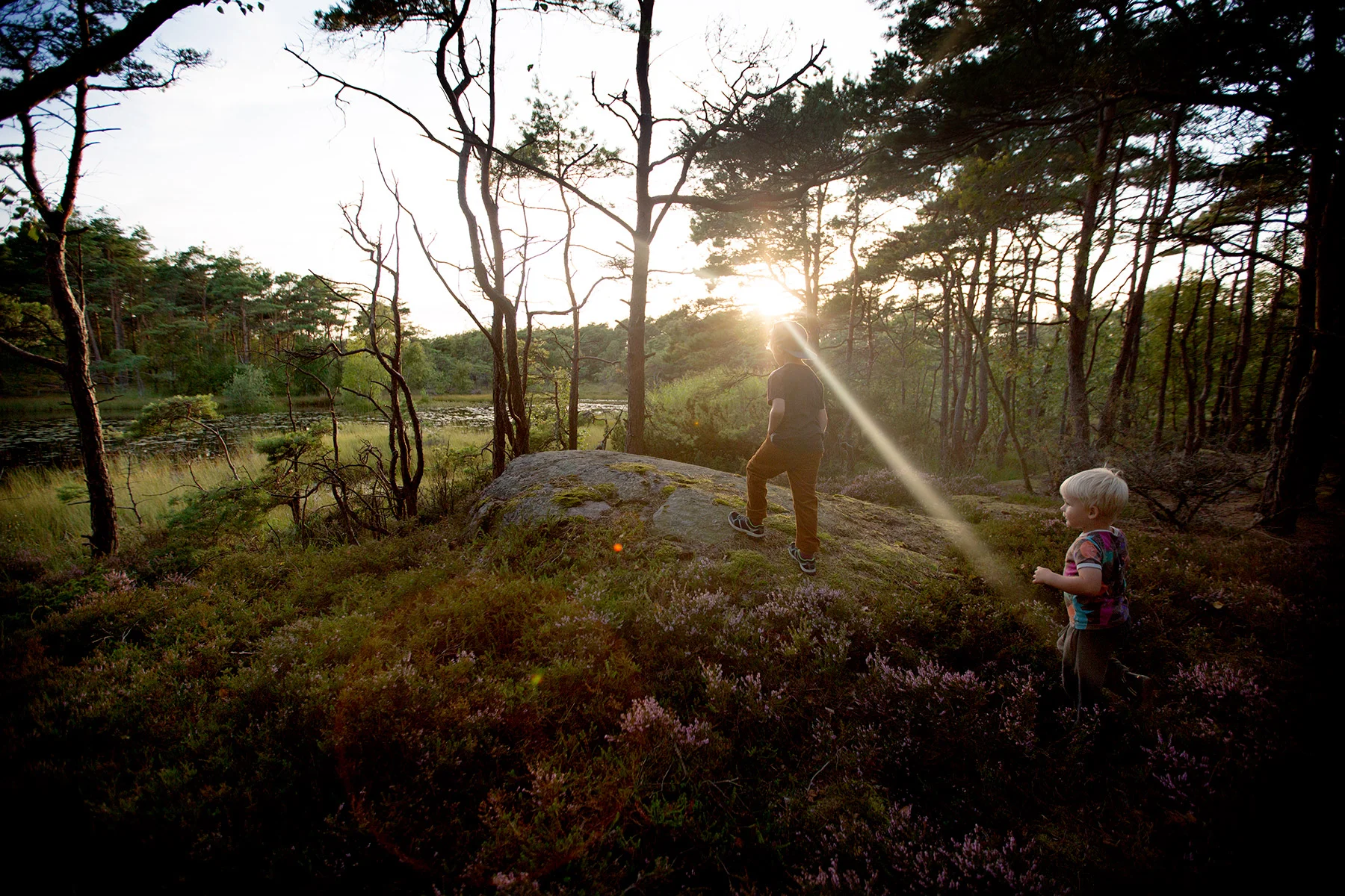 blogg-170816taltaiskogen10.jpg