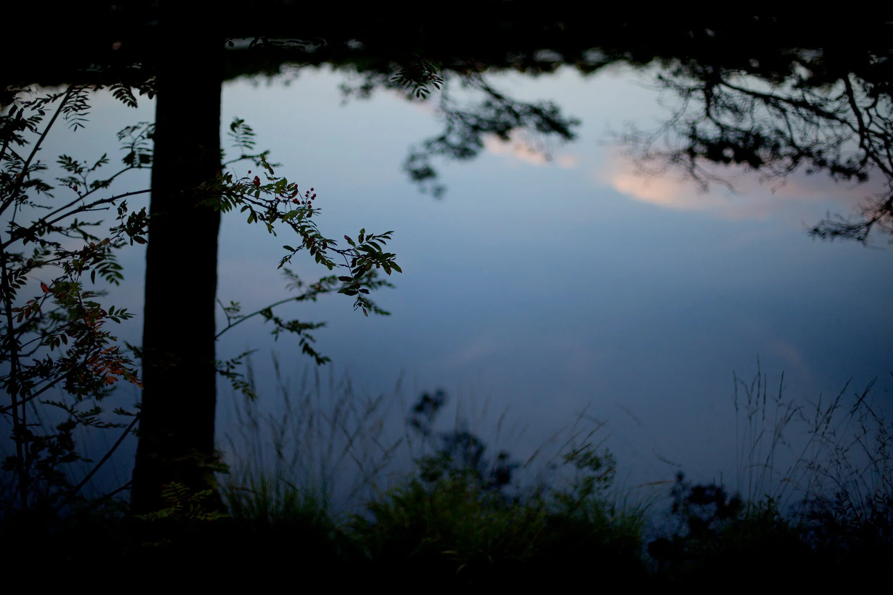 blogg-170816taltaiskogen15.jpg