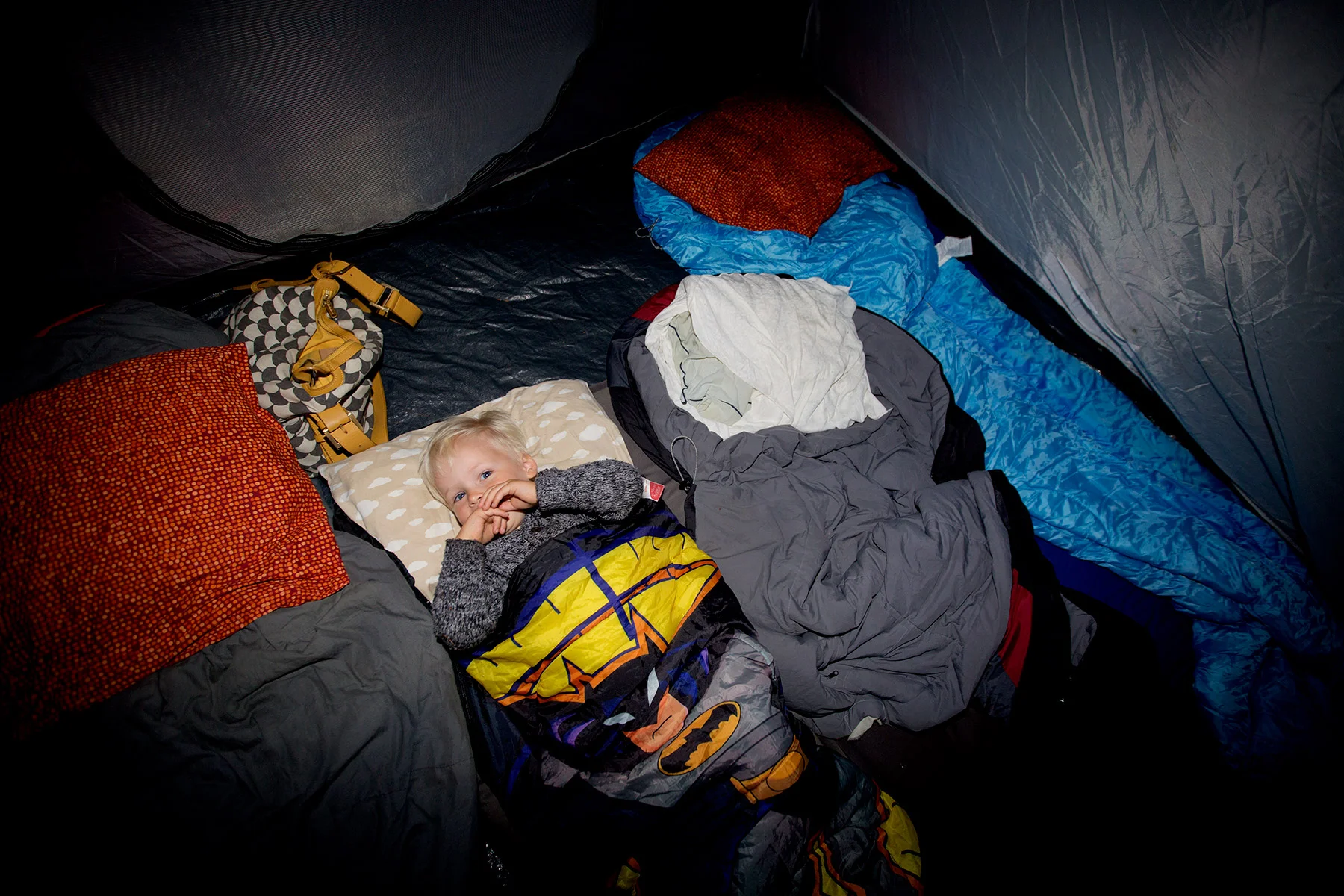 blogg-170816taltaiskogen29.jpg