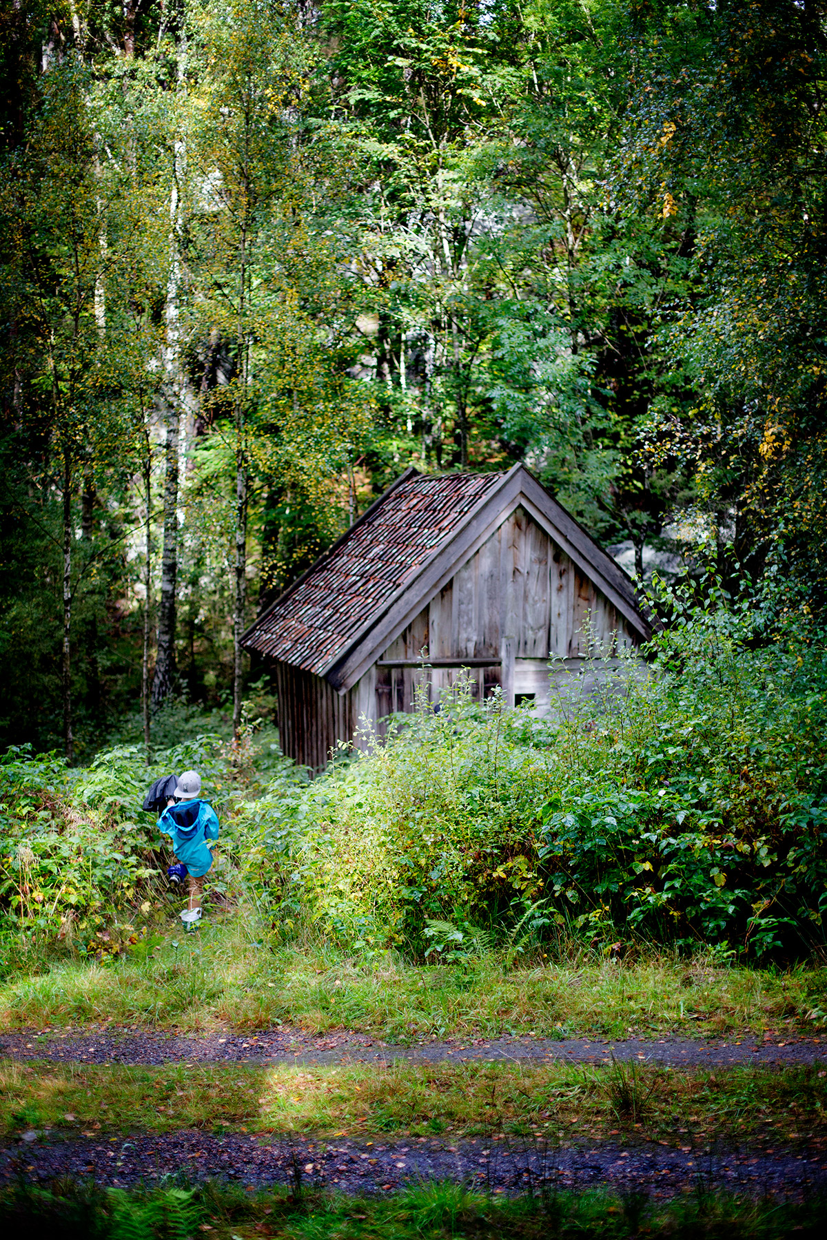 blogg-170917kvarnadalen16.jpg