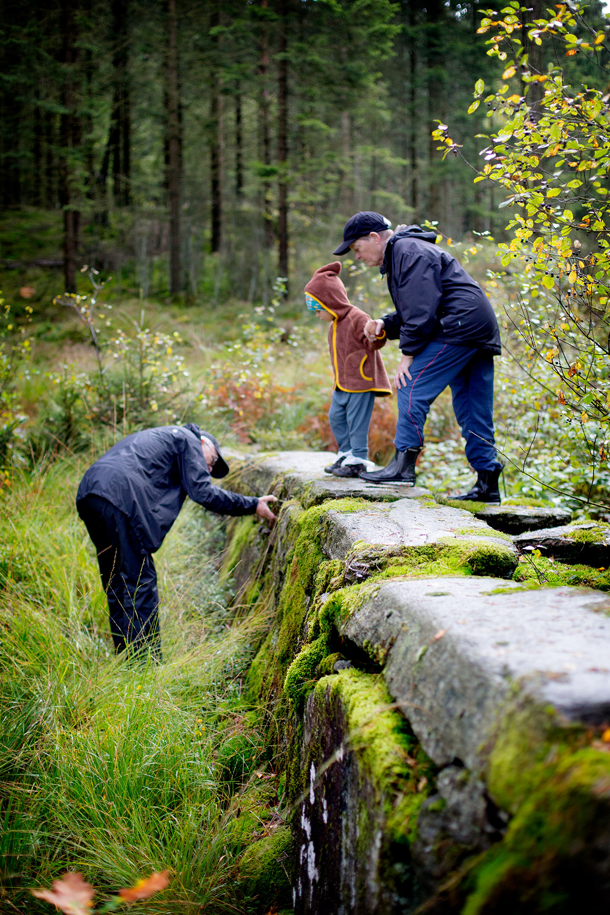 blogg-170917kvarnadalen36.jpg