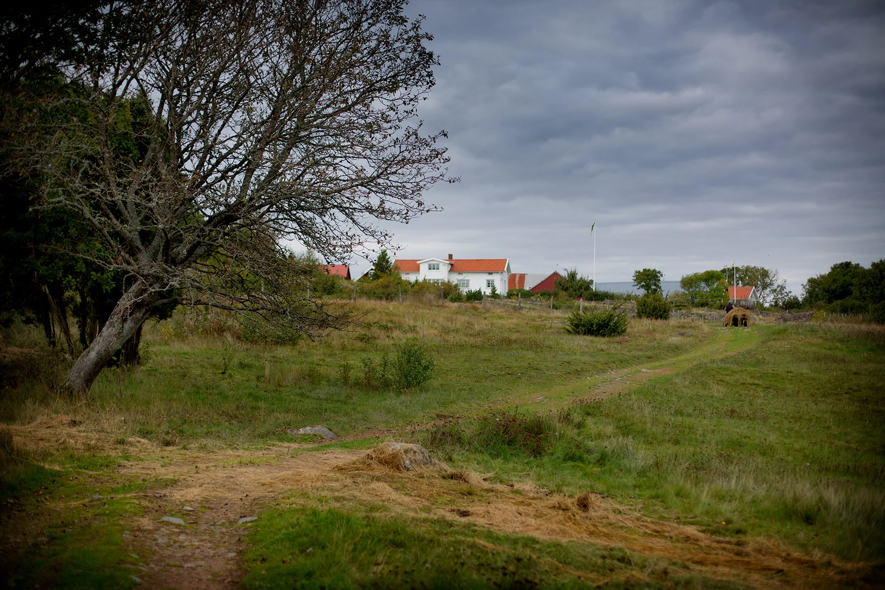 blogg-170923vendelso2.jpg