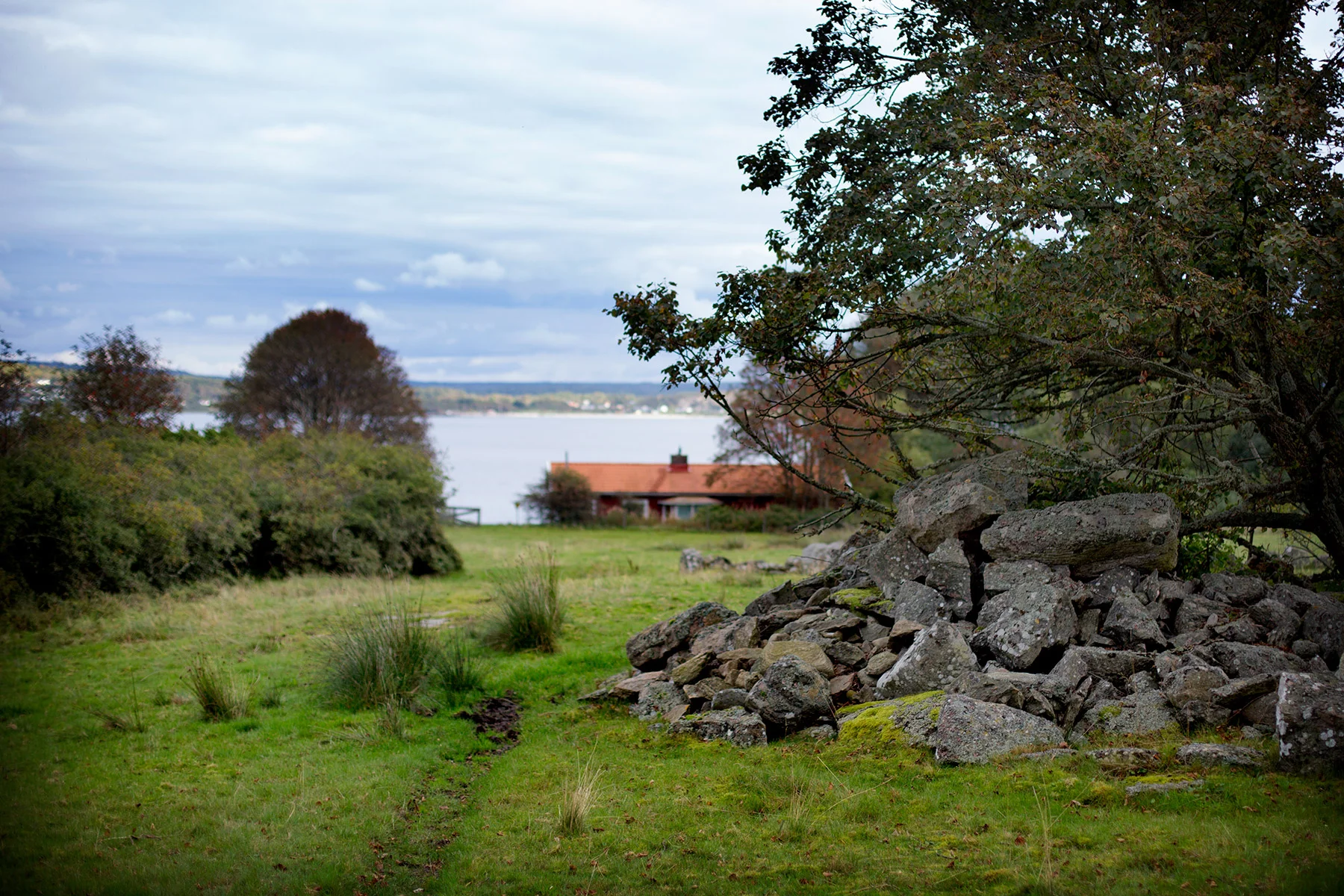 blogg-170923vendelso20.jpg