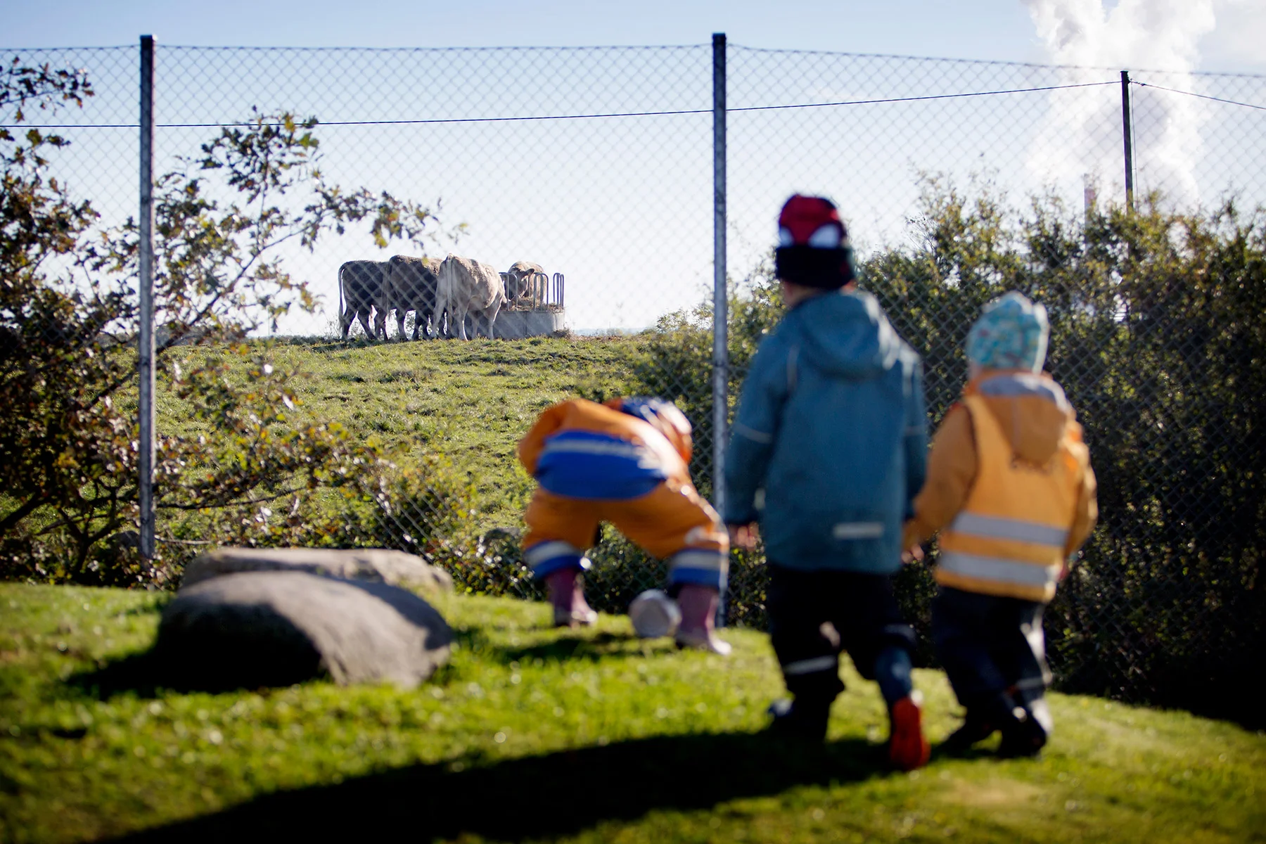 blogg-171010forskolanfyren9.jpg