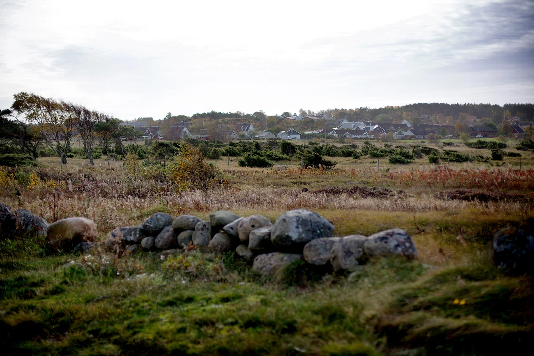 blogg-171013bale10.jpg