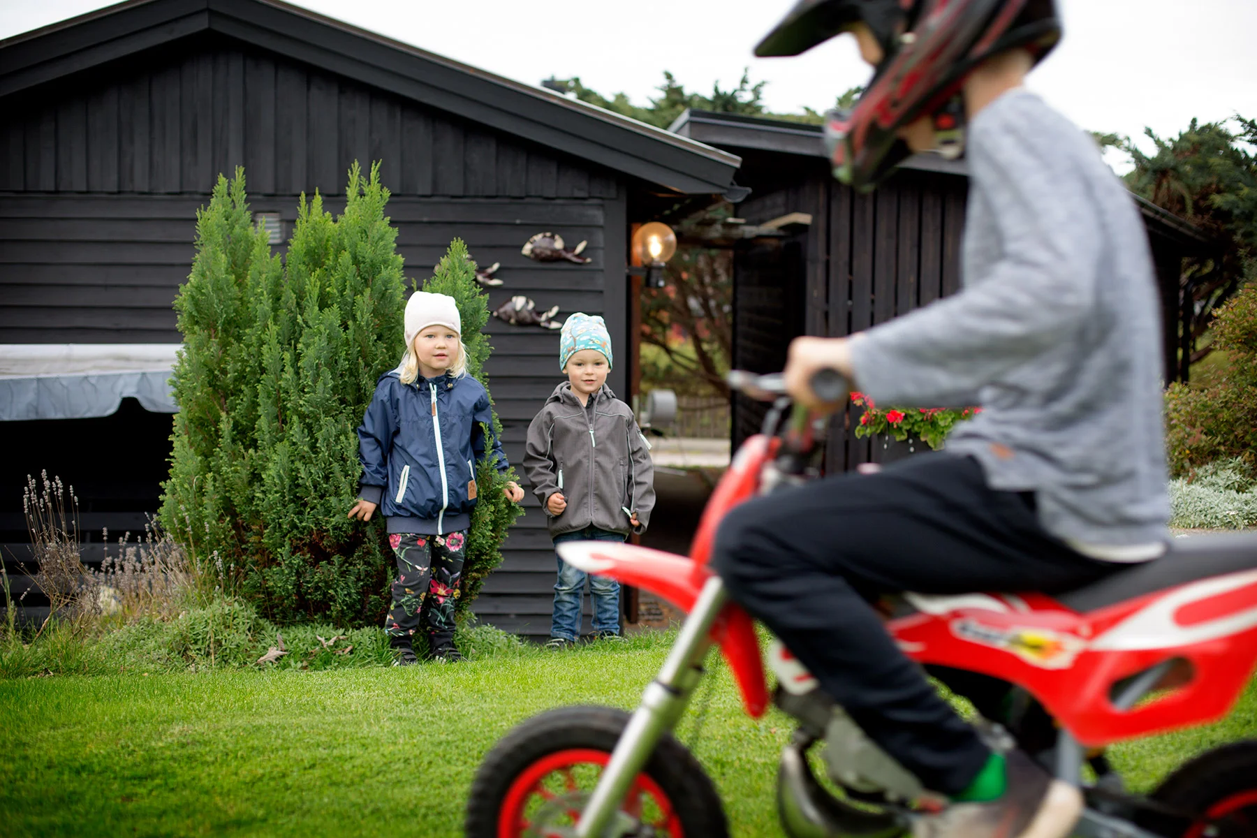 blogg-171013tradgarden4.jpg