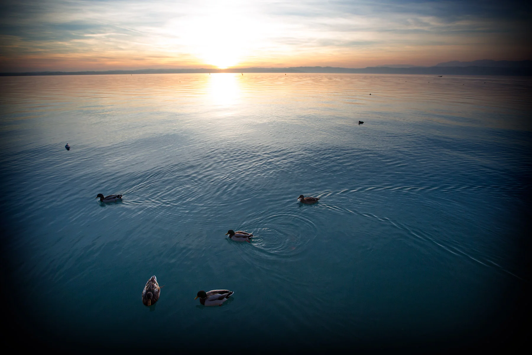 blogg-171025sirmione3.jpg