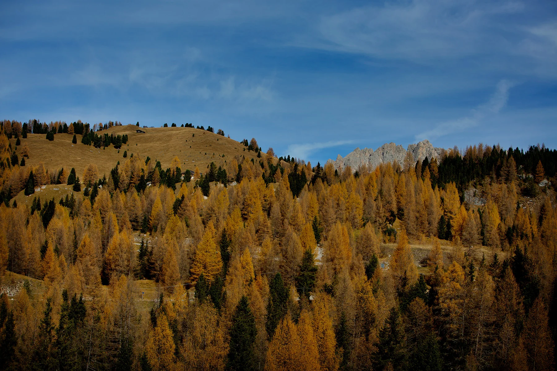 blogg-171026sellamassivet19.jpg